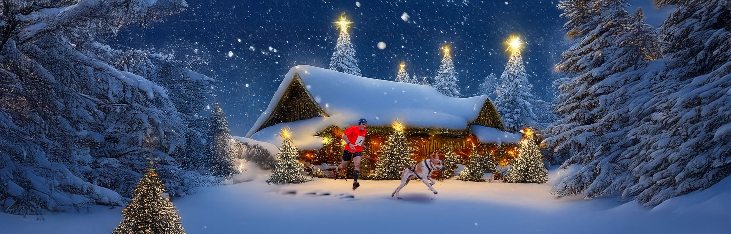 Advent Calendar Banner