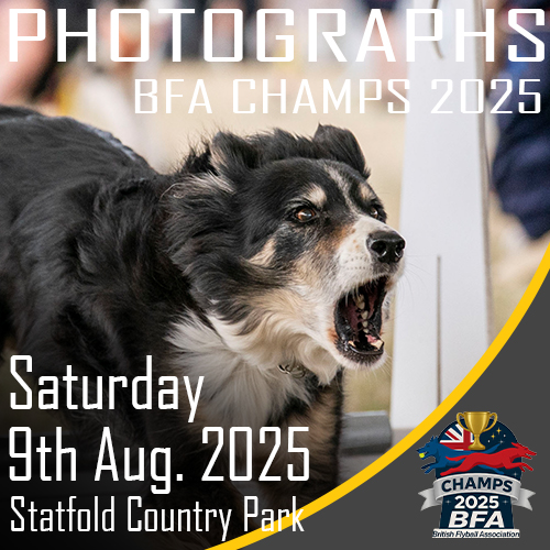 BFA Championships 2025 - Pictures BFA Championships 2025 - Pictures