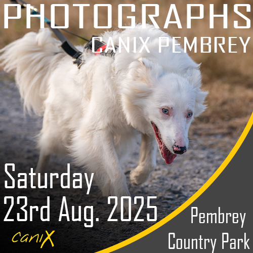 Wyre Forest 26th Jan 2025 CaniX Pembrey 23rd Aug 2025