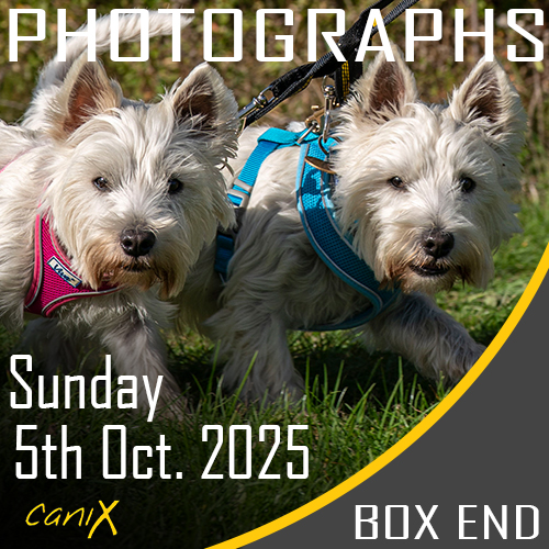 Wyre Forest 26th Jan 2025 Box End CaniX 5th Oct 2025