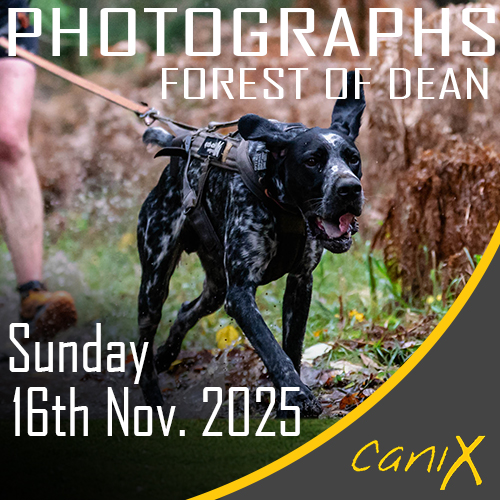 Wyre Forest 26th Jan 2025 CaniX Forest of Dean 16th Nov 2025